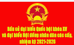 Bầu cử đại biểu Quốc hội khóa XV và đại biểu Hội đồng nhân dân các cấp, nhiệm kỳ 2021-2026